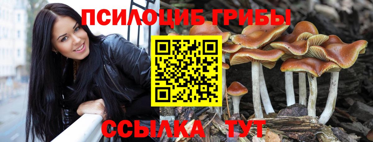 Приморско-Ахтарск  Псилоцибиновые грибы Cubensis  Вход с VPN 